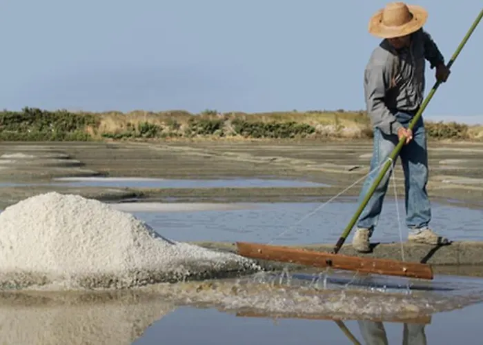 Jolie Maison Avec Jardin, A Quelques Pas De La * Mesquer